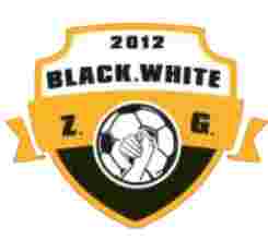 自贡弘祥电碳